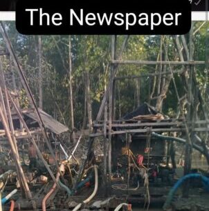 Mangrove